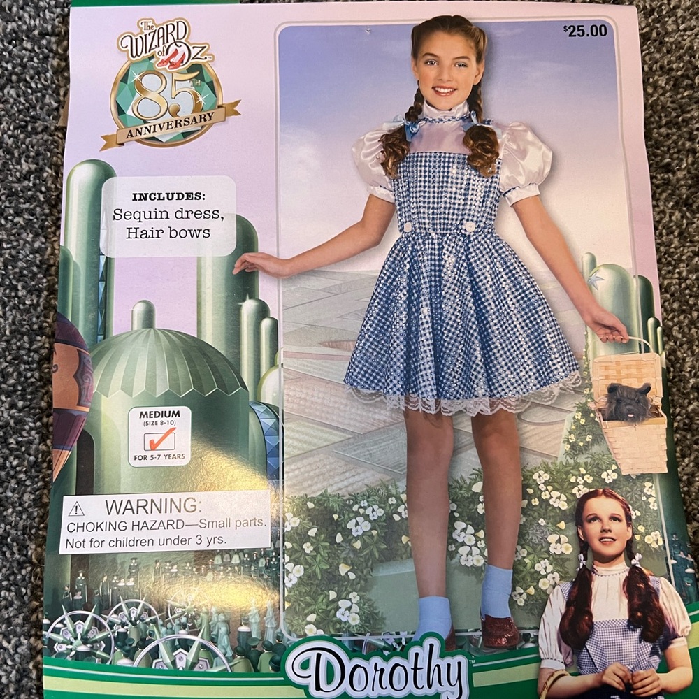 Dorothy Costume, kids size 8-10.  Great condition.